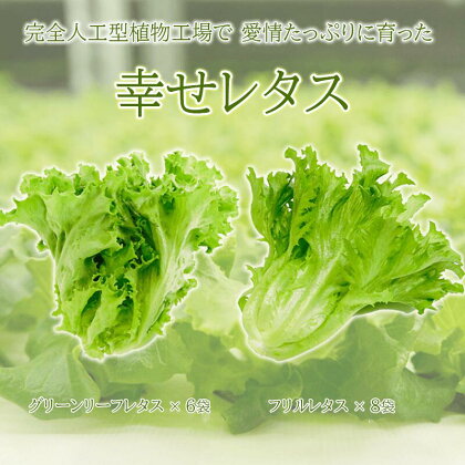 野菜 レタス 栽培期間中農薬不使用 詰め合わせ セット 計14個 サラダ グリーンリーフレタス 6個 フリルレタス 8個 水耕栽培 LED 栽培 低菌 野菜 丸ごと ベジタブル 副菜 常備菜 サラダ ヴィーガン ヘルシー 幸せレタス