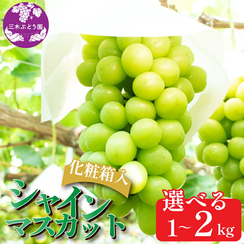 ڤդ뤵Ǽǡۡͽۥ㥤ޥå1kgвٻ2024ǯ8܏2024ǯ9ܺե롼Ĥ֤ɤƺˤˤˤˤˤץ쥼ȥե£ʪڤ֤ɤ縩Ȼԡ