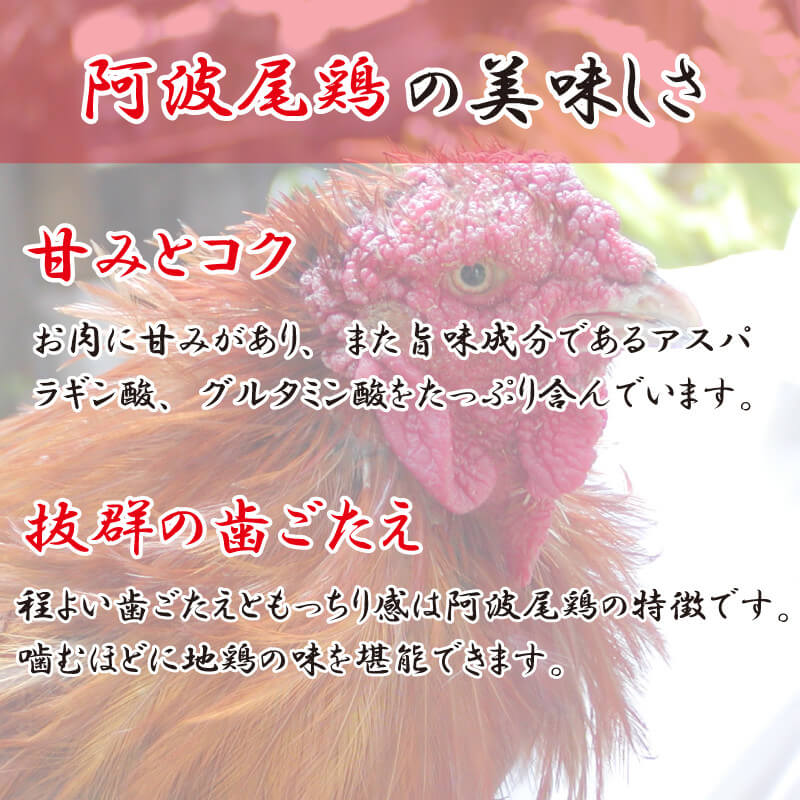 【ふるさと納税】 鶏肉 ローストチキン 照り焼き 約 1.2kg 冷凍 地鶏 阿波尾鶏 JAS認定地鶏 ブランド鶏 徳島県産