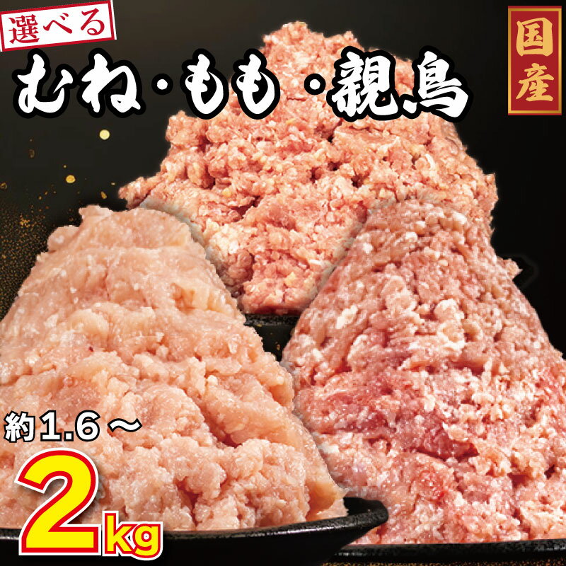 ڤդ뤵Ǽǡ۷ʬҤߥ1.6kg