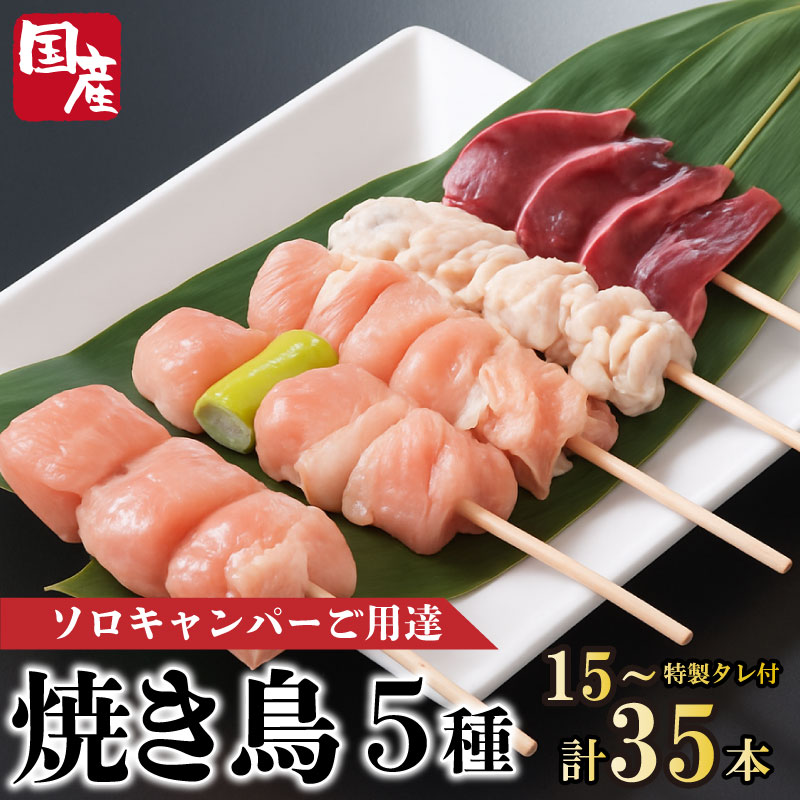 焼き鳥 5種 選べる本数 15本 25本 35本 セット タレ付き 国産 もも 皮 砂ぎも ねぎま 鶏肉 おつまみ ビール ハイボール チューハイ 日本酒 ウイスキー 焼酎 酒 ワイン 弁当 BBQ アウトドア 冷凍 小分け 送料無料 徳島県 阿波市 有限会社阿波食品