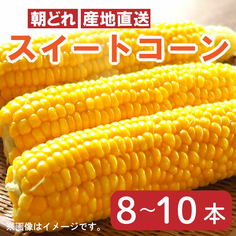 【ふるさと納税】 とうもろこし おおもの スイートコーン 3kg以上 8～10本 先行予約 2024年6月～順次発..