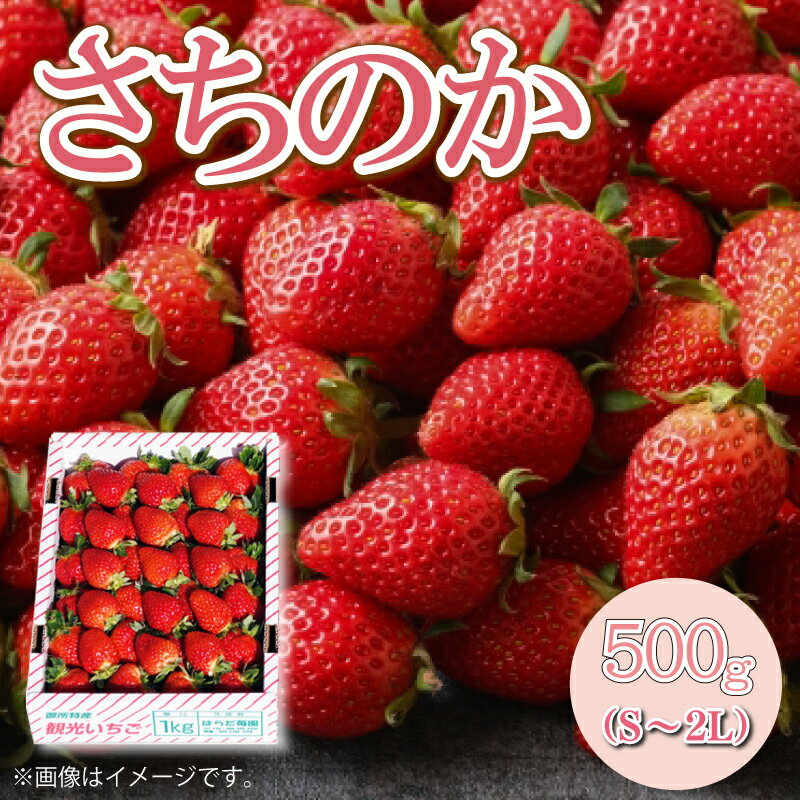 【ふるさと納税】 フルーツ いちご 500g S~2L 1箱 さちのか 先行予約 阿波市産 徳島県 四国のサムネイル
