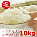 【ふるさと納税】 米 食べ比べ こしひかり ひのひかり 10kg 精米済 お米 白米 産地直送 ブランド米