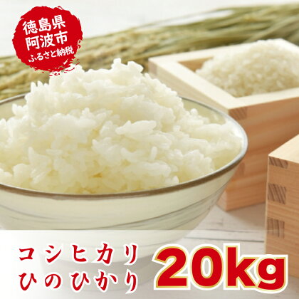 お米 20kg 食べ比べ こしひかり ひのひかり 精米済 白米 産地直送 ブランド米