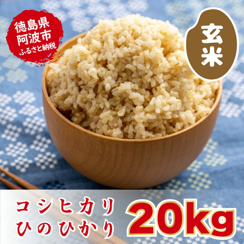 【ふるさと納税】 玄米 20kg こしひかり ひのひかり ブ