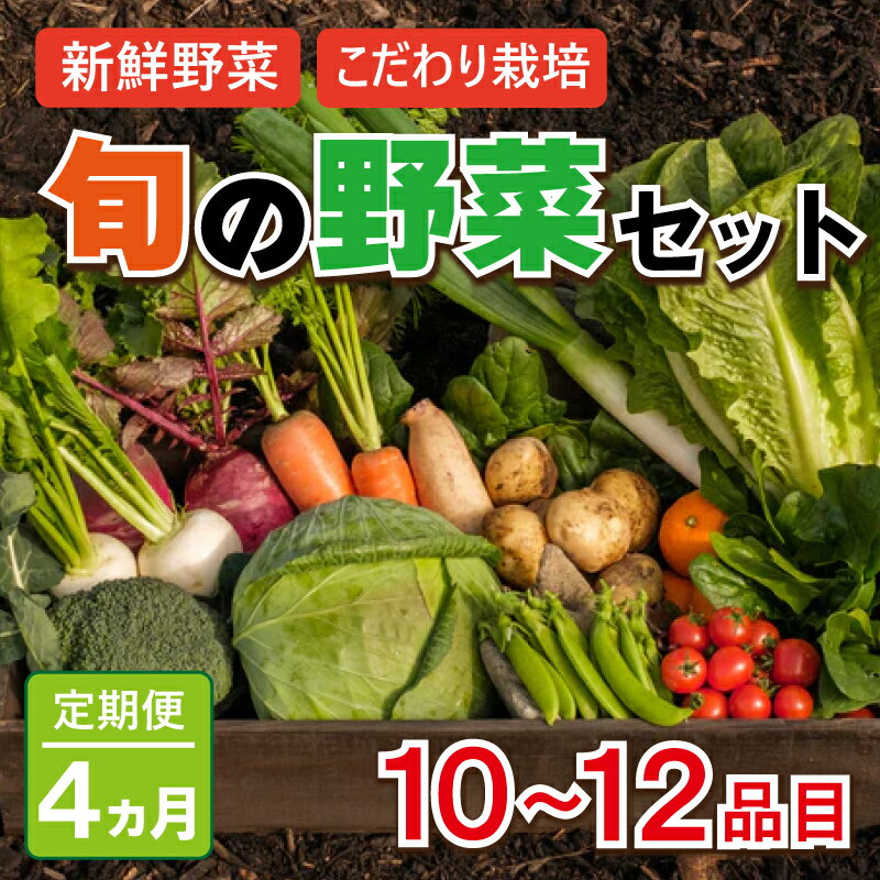 【ふるさと納税】 野菜 お楽しみ 定期便 4回 10~12品目 詰め合わせ セット 玉ねぎ とまと じゃがいものサムネイル