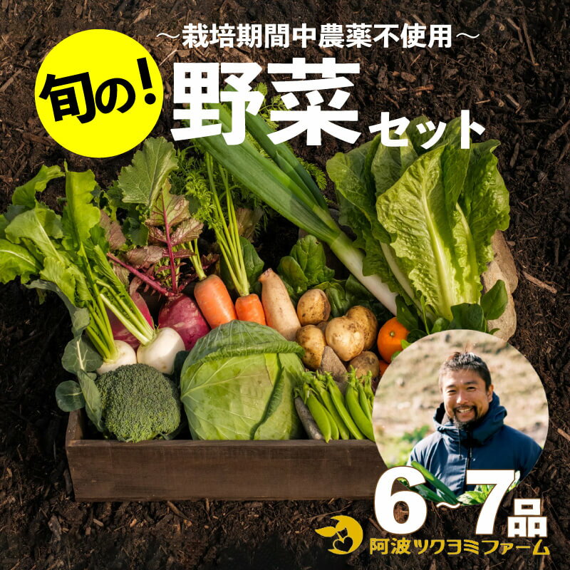 【ふるさと納税】 野菜 詰め合わせ セット 6～7品目 ツクヨミ ファーム ジャガイモ アスパラガス レンコン トマト なす ピーマン きゅうり ゴーヤ オクラ かぼちゃ 阿波市 徳島県