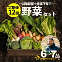 24位! 口コミ数「0件」評価「0」 野菜 詰め合わせ セット 6～7品目 12回 定期便 ツクヨミ ファーム ジャガイモ アスパラガス レンコン トマト なす ピーマン きゅ･･･ 