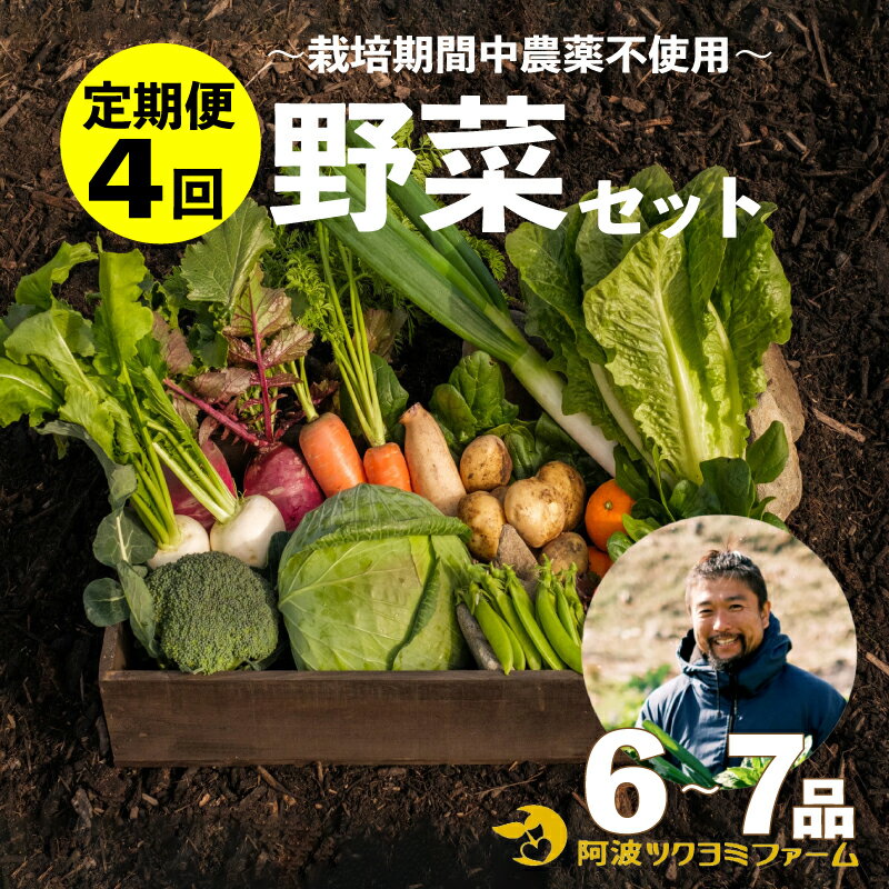 【ふるさと納税】 野菜 詰め合わせ セット 6～7品目 4回 定期便 ツクヨミ ファーム ジャガイモ アスパラガス レンコン トマト なす ピーマン きゅうり ゴーヤ オクラ かぼちゃ 阿波市 徳島県