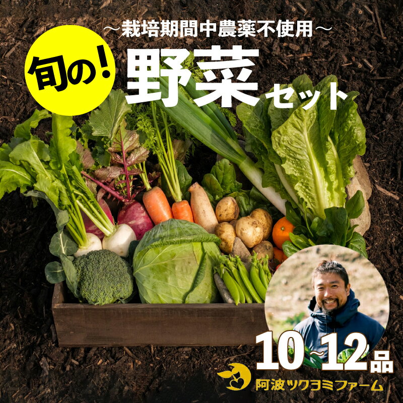 野菜 野菜セット コーン 玉ねぎ にんじん じゃがいも 季節の 詰め合わせ セット 10〜12品目 阿波市 徳島県