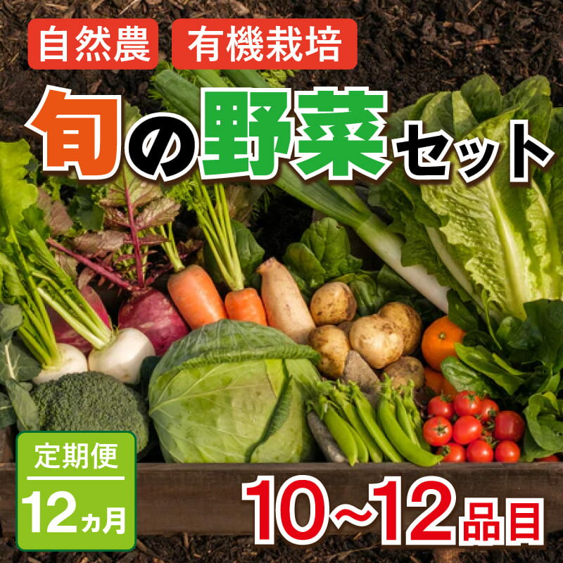 【ふるさと納税】 野菜 お楽しみ 定期便 12回 有機野菜 10~12品目 詰め合わせ セット 有機栽培 玉ねぎ とまと じゃがいものサムネイル