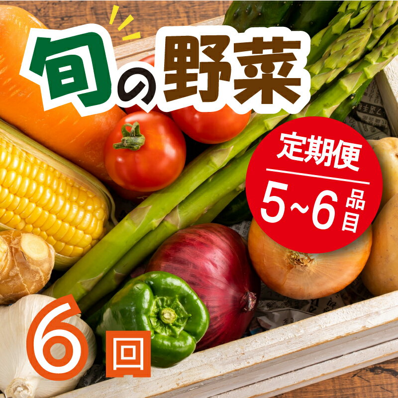 【ふるさと納税】 野菜 定期便 6回 5~6品目 詰め合わせ セット ジャガイモ アスパラガス レンコン トマト なす ピーマン きゅうり ゴーヤ オクラ かぼちゃ 阿波市 徳島県