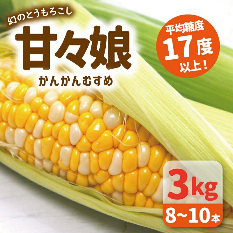 【ふるさと納税】 スイートコーン とうもろこし 朝採り 甘々娘 3kg 《2024年6月～順次発送》 ツクヨミ...