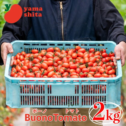 ボーノトマト 2kg ミニトマト アイコ トマト 農家直送 夏野菜 サラダ 阿波市 徳島県