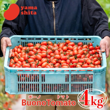 ボーノトマト 4kg ミニトマト アイコ トマト 農家直送 夏野菜 サラダ 阿波市 徳島県