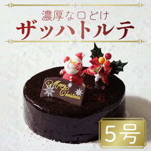 【ふるさと納税】 クリスマスケーキ ザッハトルテ 5号 冷凍 チョコレート スイーツ お菓子 阿波市 徳島県