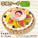 【ふるさと納税】 スイーツ ケーキ フルーツタルト 冷凍 4号 おもしろ ケーキ 写真ケーキ バースデーケーキ ギフト 誕生日 内祝い 入学祝い 卒業祝い 母の日 父の日