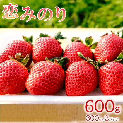 いちご 農家直送 恋みのり 600g フルーツ 減農薬 徳島県 阿波市 人気急上昇