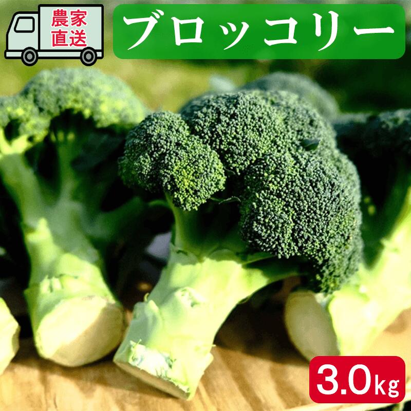 【ふるさと納税】 野菜 ブロッコリー 農家直送 産地直送 鮮度抜群 大容量 約 3kg 減農薬 徳島県 阿波市のサムネイル