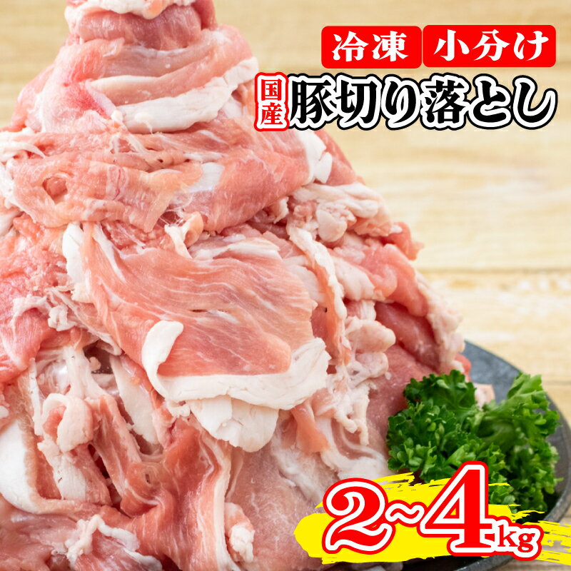 【ふるさと納税】 豚肉 切り落とし 2kg 4kg 小分け 