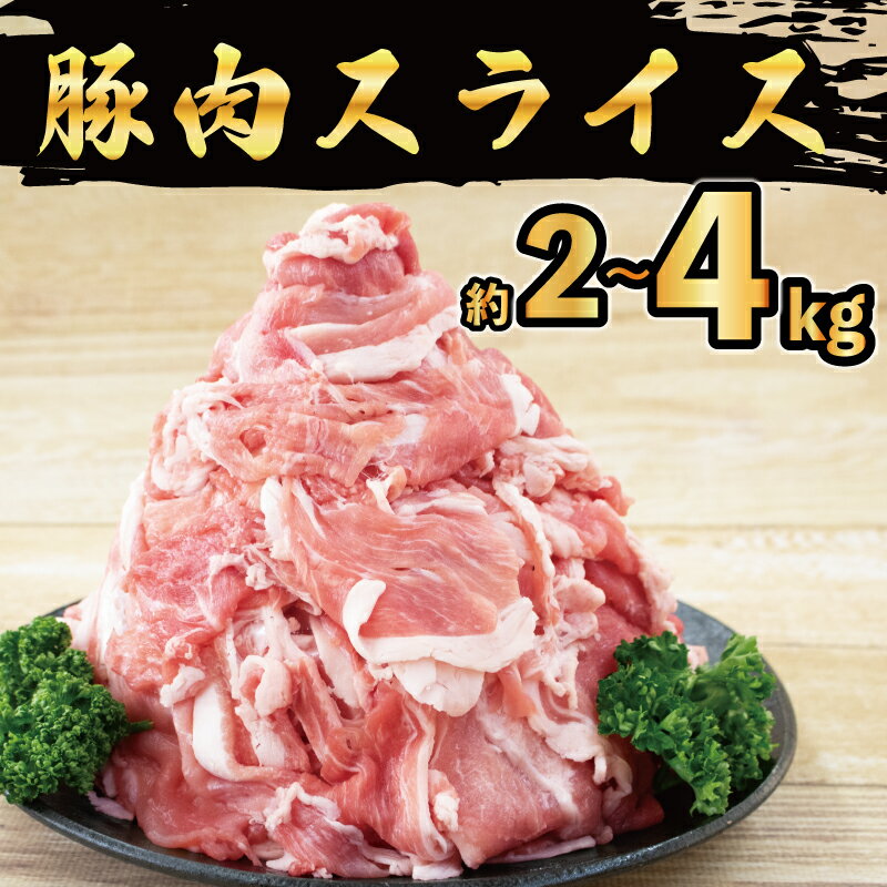 【ふるさと納税】 豚肉 切り落とし 2kg 4kg 小分け 真空パック 徳島県産 ポーク 豚 こま切れ 小分けパ...