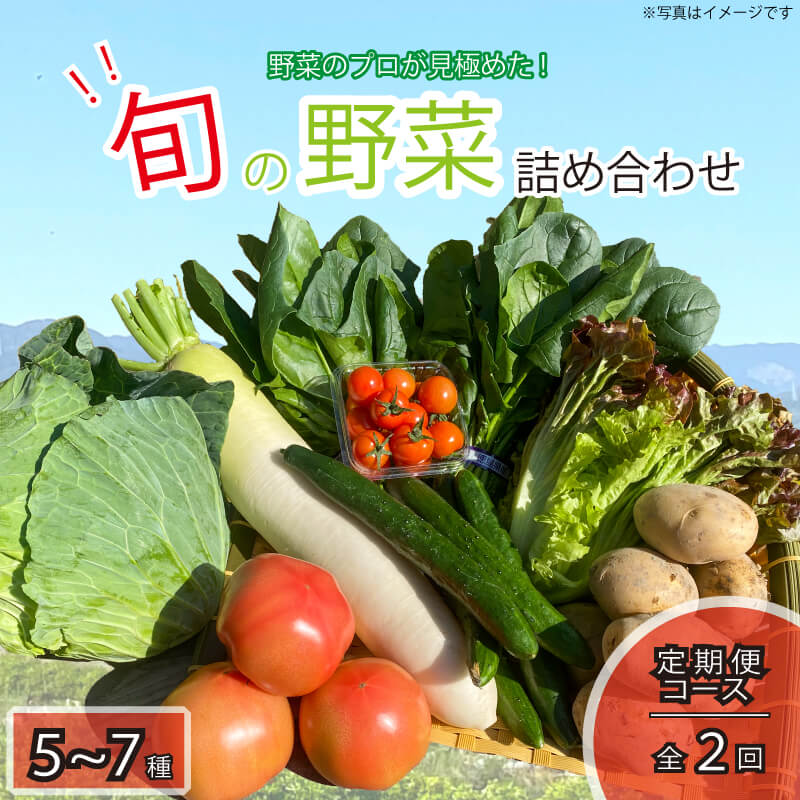 【ふるさと納税】 野菜 5~7品目 年2回 定期便 詰め合わ