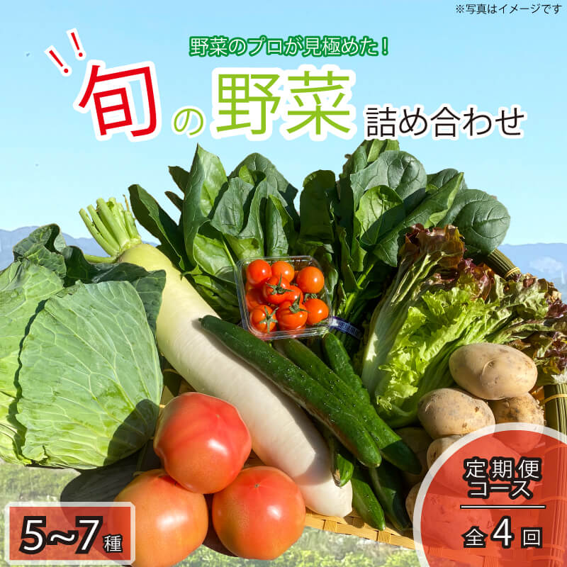 【ふるさと納税】 野菜 定期便 年4回 詰め合わせ セット 5～7種類 旬 季節の野菜 新鮮 大満足 産地直送 お楽しみ