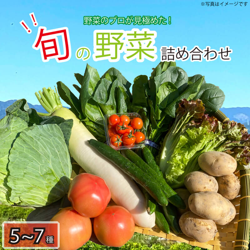 9位! 口コミ数「7件」評価「4.57」 野菜 5~7品目 詰め合わせ セット 旬 新鮮 季節の野菜 なすび ブロッコリー キャベツ 白菜 レタス サニーレタス ほうれん草 きゅう･･･ 