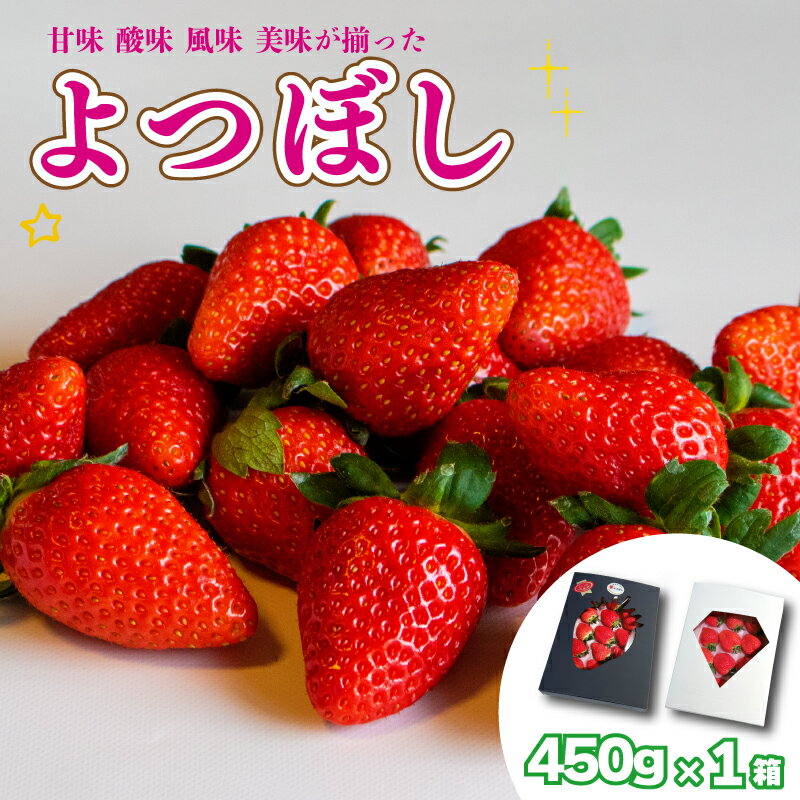 【ふるさと納税】 いちご 果物 フルーツ よつぼし ギフト 化粧箱 贈答 ストロベリー 贈答 贈り物 阿波市 徳島県 人気急上昇のサムネイル