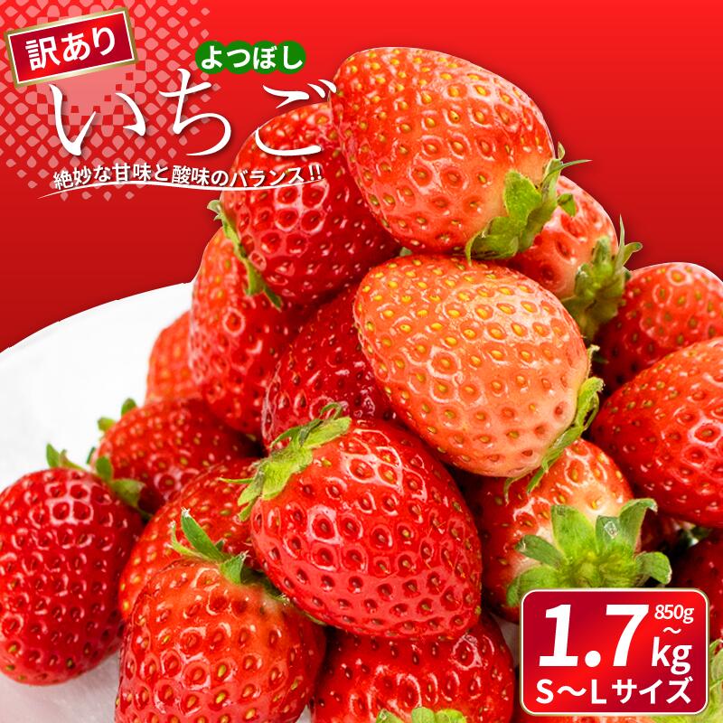 【ふるさと納税】 訳あり いちご よつぼし 850gから1.7kg 選べる容量 果物 フルーツ 苺 ストロベリー 先行予約 ケーキ アイス シャーベット ジェラート ゼリー ジュース ジャム スムージー 洋菓子 和菓子 おやつ 不揃い 規格外 人気 オススメ お取り寄せ グルメ 送料無料