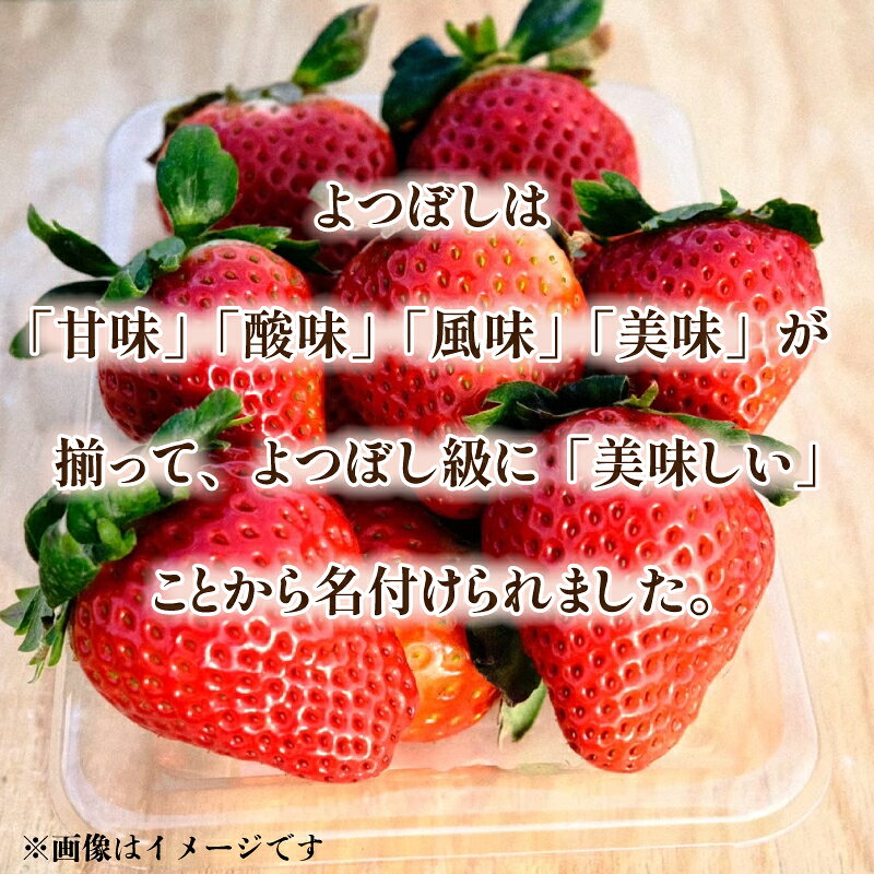 【ふるさと納税】 いちご よつぼし 1パック 400g 大玉 2L以上サイズ 果物 フルーツ 苺 《 2027年1月初旬より順次発送 》 シャーベット ジェラート ゼリー ジュース ジャム スムージー 洋菓子 和菓子 お菓子 フルーツサンド 苺大福 お取り寄せ グルメ 徳島県 阿波市 f362069-awa-10001256 徳島県阿波市 サンプル画像3