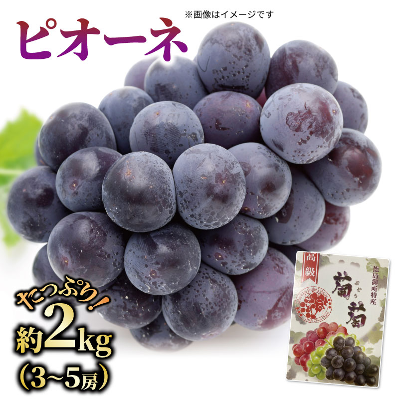 ڤդ뤵Ǽǡۤʼ浪ޤ2kg