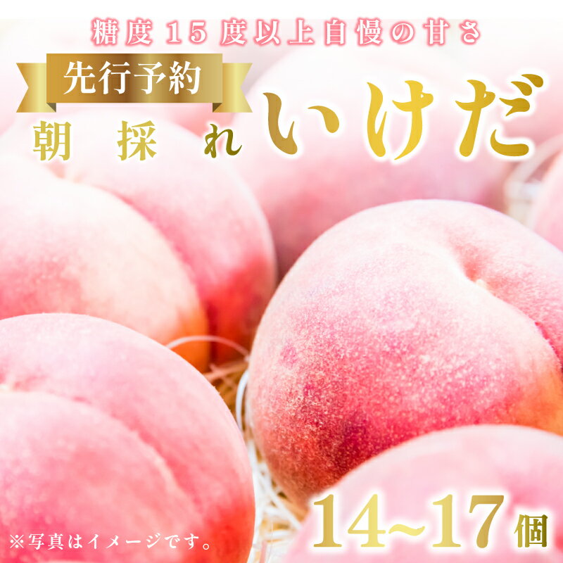 桃 もも 果物 フルーツ 朝採れ 先行予約 いけだ 14～17個 糖度 15度 以上 徳島県 阿波市