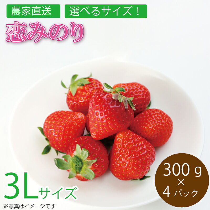 恋みのり 3Lサイズ 1.2kg いちご フルーツ ストロベリー 果物 徳島県 阿波市