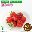 【ふるさと納税】 恋みのり 3Lサイズ 1.2kg いちご フルーツ ストロベリー 果物 徳島県 阿波市
