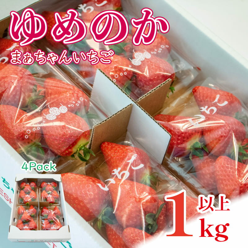 【ふるさと納税】 いちご 果物 フルーツ ゆめのか 1kg ストロベリー スイーツ 阿波市 徳島県