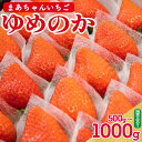 【ふるさと納税】 いちご ゆめのか 選べる容量 500g~1kg 苺 ストロベリー 果物 フルーツ デザート スイーツ ジュース ジャム アイス シャーベット スムージー ヨーグルト ギフト プレゼント 贈答 お取り寄せ グルメ 冷蔵 送料無料 阿波市 徳島県 佐藤農園