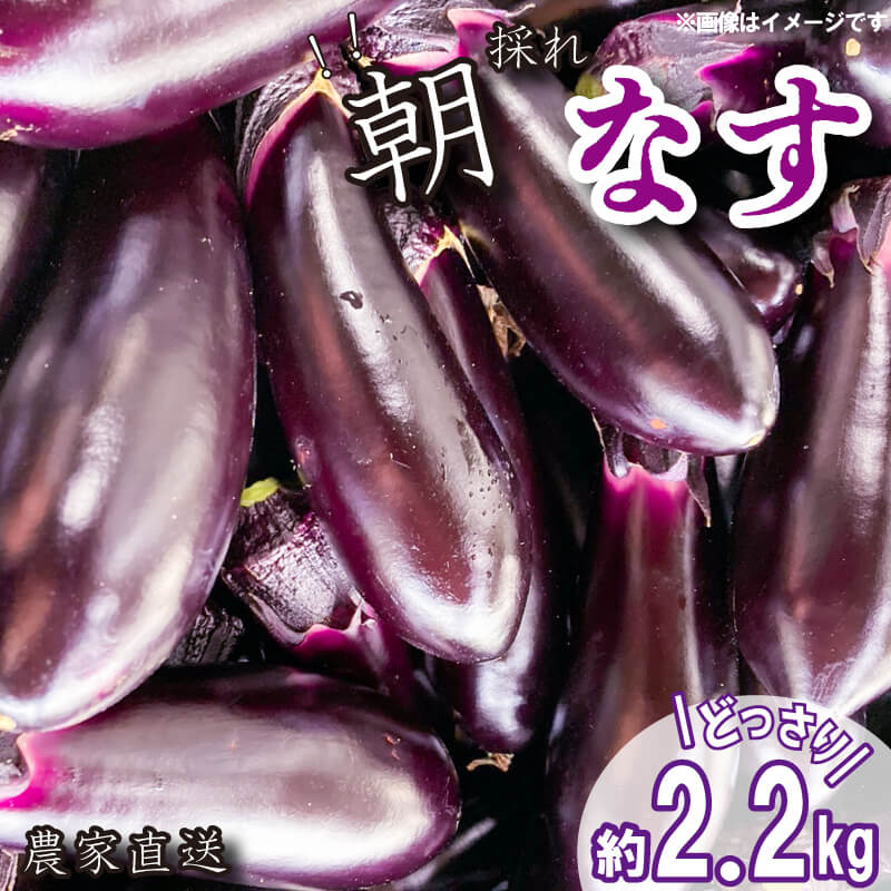 【ふるさと納税】 野菜 なす 約 2kg 以上 千両なす 先行予約 夏野菜 阿波市産 徳島県 人気急上昇のサムネイル