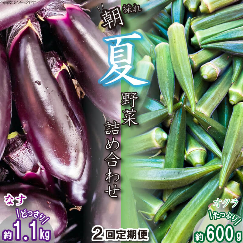 【ふるさと納税】 夏野菜 定期便 2回 なす 約 1kg 以上 と オクラ 約 600g 以上 セット 先行予約 詰め合わせ 千両なす オクラ 野菜 阿波市産 徳島県のサムネイル