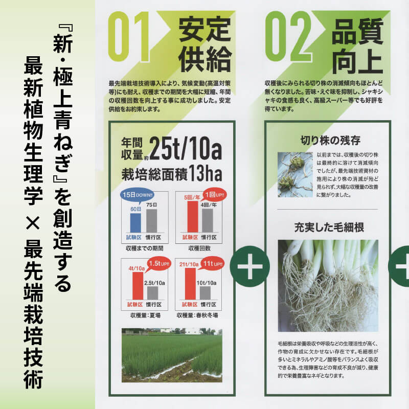 【ふるさと納税】 青ねぎ 5kg ネギ 葱 極上 薬味 国産 野菜 うどん ギョーザ 餃子 チャーハン 焼きネギ 焼き鳥 ラーメン 徳島 阿波市