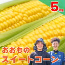 3位! 口コミ数「6件」評価「4.83」 とうもろこし 5kg スイートコーン 先行予約 《 2024年6月～順次発送 》 おおもの 大粒 コーン サラダ 徳島県 阿波市