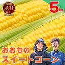 【ふるさと納税】 とうもろこし 5kg スイートコーン 甘い おおもの 朝どり 《 2025年6月〜順次発送 》 大粒 コーン サラダ 野菜 やさい 新鮮 サラ...