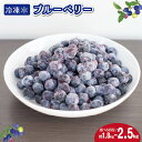 【ふるさと納税】 冷凍 ブルーベリー 選べる容量 約1kg 約1.8kg 約2.5kg フルーツ 国産 果物 大粒 甘い 糖度 ジャム ジュース ケーキ ゼリー スムージー ヨーグルト デザート スイーツ 美容 健康 ギフト 贈答 プレゼント お取り寄せ グルメ 送料無料 徳島県 阿波市