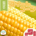 24位! 口コミ数「19件」評価「3.84」 訳あり スイートコーン 野菜 とうもろこし 約5kg 先行予約 《2024年6月～順次発送》 産地直送 夏野菜 期間限定 数量限定 朝採れ･･･ 