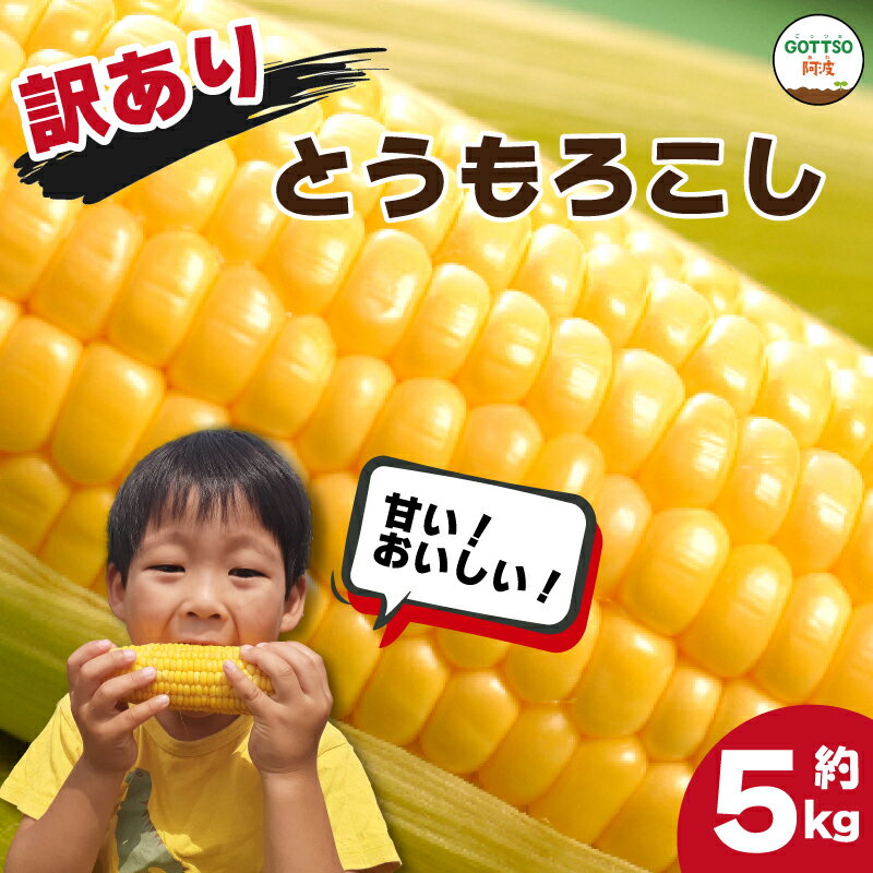 【ふるさと納税】 訳あり スイートコーン 野菜 とうもろこし 約 5kg 先行予約 産地直送 夏野菜 数量限定 朝採れ クール便 高糖度 冷蔵 新鮮 わけあり 2023年 夏 発送 サラダ 5キロ 5000円 四国 徳島県産 阿波市のサムネイル