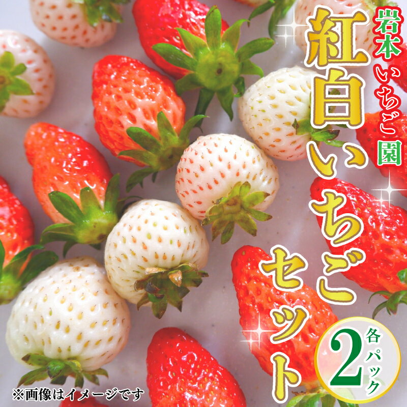 【ふるさと納税】 いちご 紅白いちご 食べ比べ 紅ほっぺ 白いちご ホワイトエンジェル 約270g×計4パック 約1kg以上 果物 フルーツ 土耕栽培 甘い 徳島県 阿波市 岩本いちご園･･･