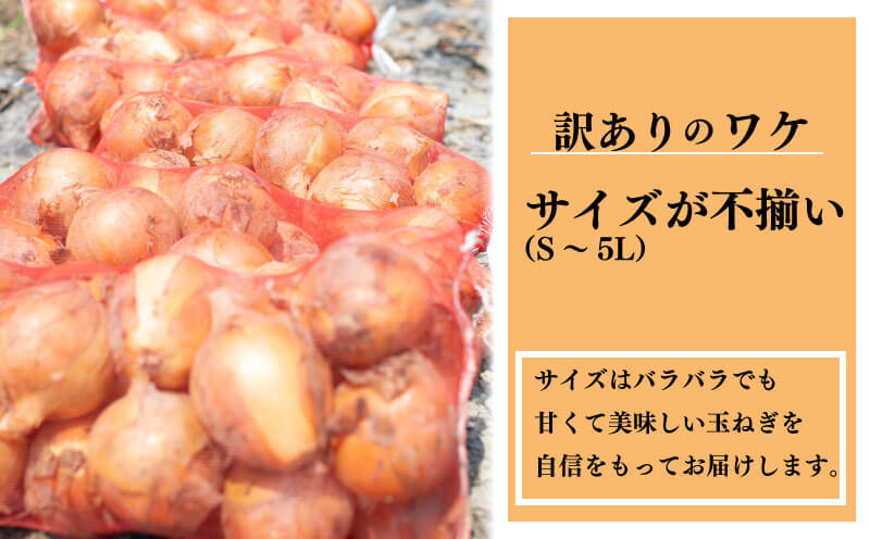 【ふるさと納税】 訳あり 野菜 玉ねぎ じゃがいも 詰め合わせ セット 約10kg サイズ混合 玉葱 メークイン 芋 じゃが芋 不揃い 味噌汁 ハンバーグ オニオン 肉じゃが カレーライス シチュー おでん 健康 数量限定 新鮮 季節 産地直送 徳島県 阿波市 四国