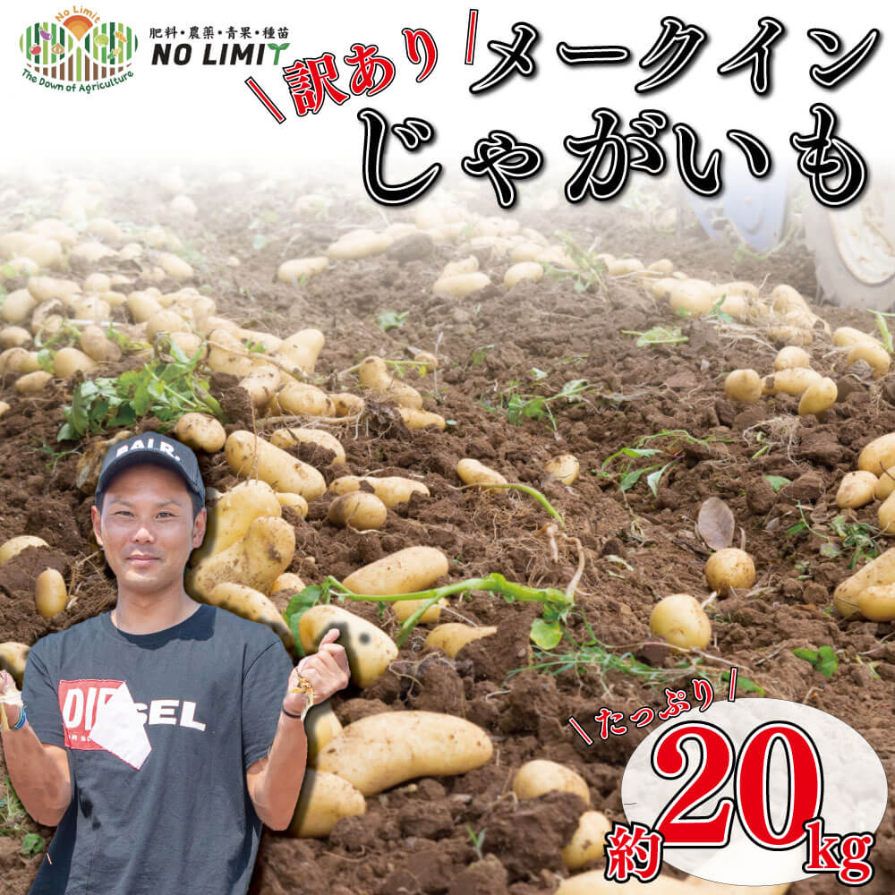 【ふるさと納税】 【 数量限定 】 訳あり 不揃い 野菜 じゃがいも ポテト 約20kg 20キロ サイズ混合 メークイン 芋 じゃが芋 肉じゃが カレーライス 送料無料 健康 数量限定 8千円 8000円 新鮮 季節 産地直送 令和5年 2023年 発送 徳島県 阿波市のサムネイル