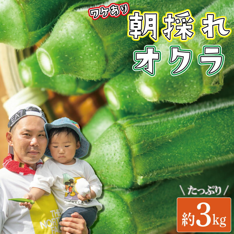 【ふるさと納税】 野菜 訳あり オクラ ワケアリ 約3kg 約3キロ 朝採れ 新鮮 お裾分け 旬野菜 8千円 8000円 国産 農家直送 生産者直送 産地直送 サラダ 味噌汁 おひたし マリネ お吸い物 冷蔵 お取り寄せ ご当地 人気急上昇 2023年発送 令和5年産 ランキング 徳島県 阿波市のサムネイル